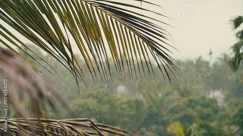 Close up rainfall over palm trees and red flowers on a tropical island. 