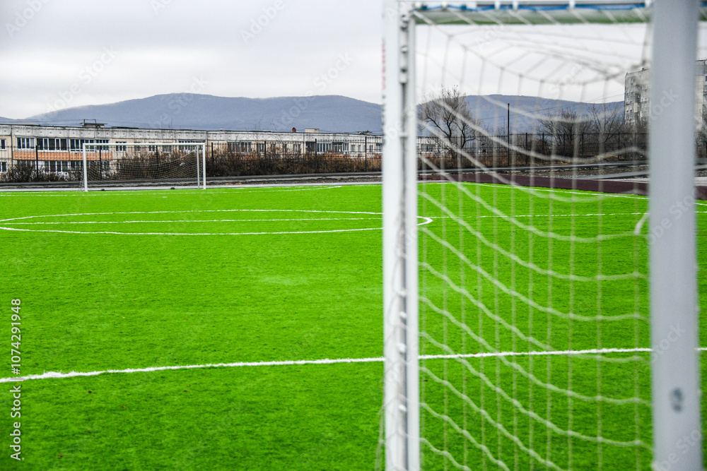 Fototapeta premium soccer football field