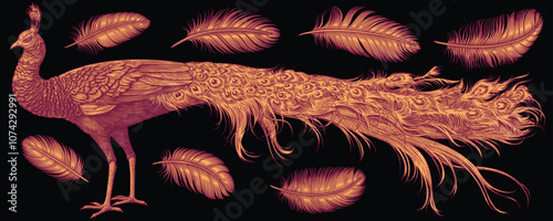 Peacock and feathers. Design set. Editable hand drawn illustration. Vector vintage engraving. Isolated on black background. 8 EPS