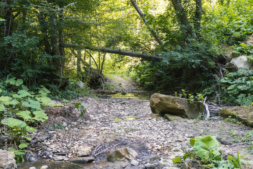 nature park , a walk along the riverbed with an overview of the stone bottom and banks nature park , a walk along the riverbed with an overview of the stone bottom and banks