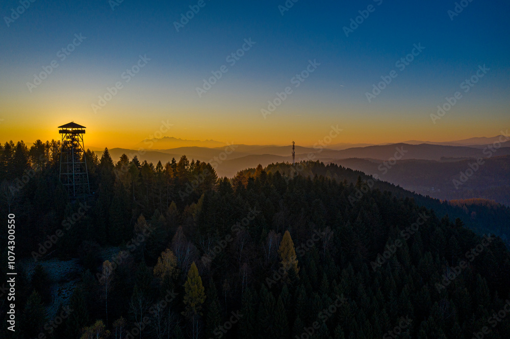 Obraz premium Malnik o zachodzie słońca