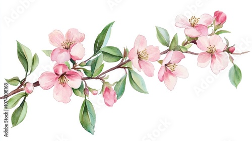 Watercolor illustration of a floral branch featuring flowers and green leaves Hand drawn for use in greeting cards wedding invitations holiday cards and various design projects