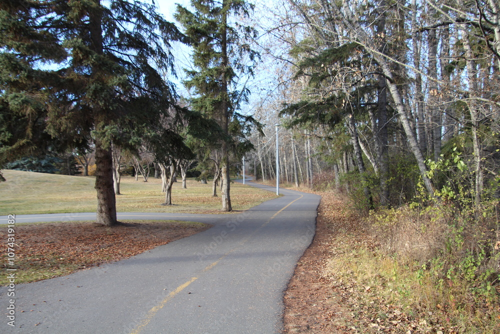 Fototapeta premium path in the park