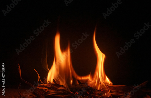 A bonfire in my backyard
