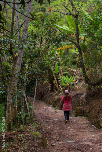 An enthusiastic woman walking in the jungle, she  begins her hike to Gocta Waterfall. Lush vegetation and fresh air surround this long path that runs through the dense jungle. photo