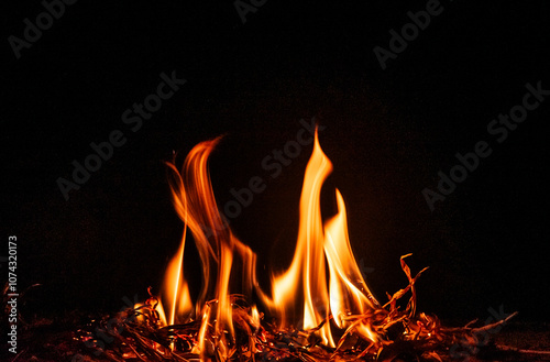 A bonfire in my backyard