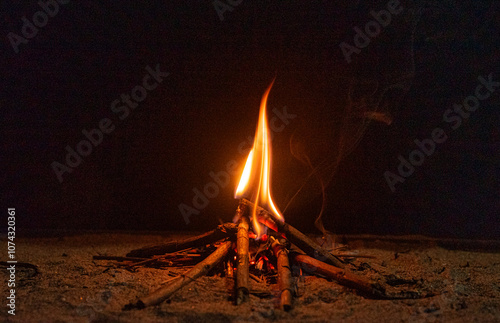 A bonfire in my backyard