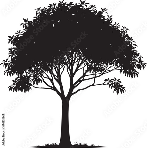 Generate vector silhouette ''  Tree  '' image with white background