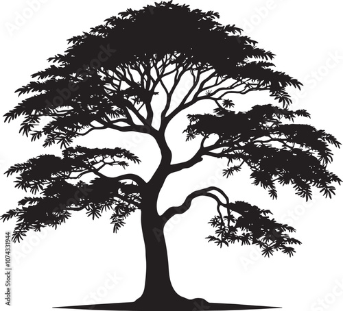 Generate vector silhouette ''  Tree  '' image with white background