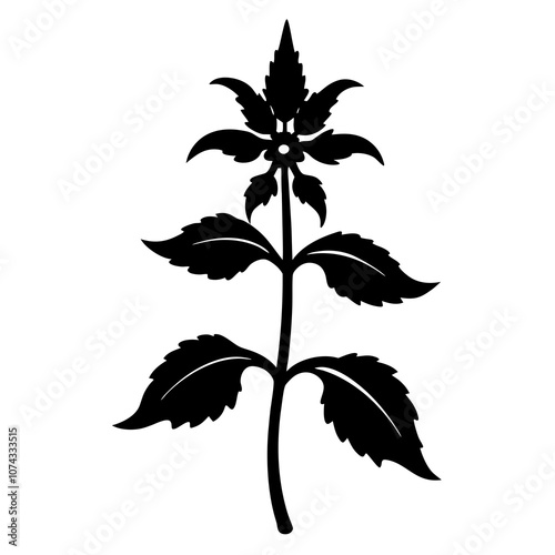 dead nettle tree silhouette