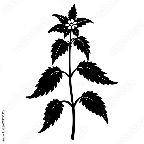 dead nettle tree silhouette