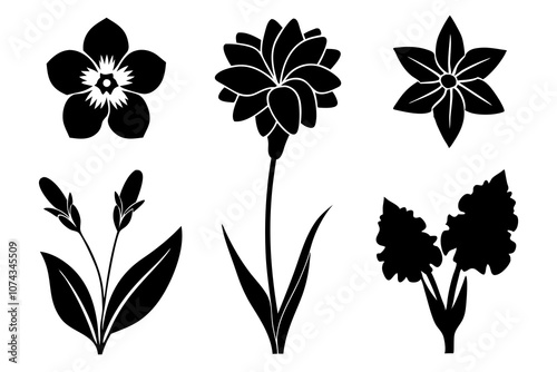 6 vector silhouette icon set of Ranunculus, Buttercup, Snowdrop, Heather, Larkspur, Delphinium