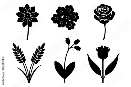 6 vector silhouette icon set of Ranunculus, Buttercup, Snowdrop, Heather, Larkspur, Delphinium