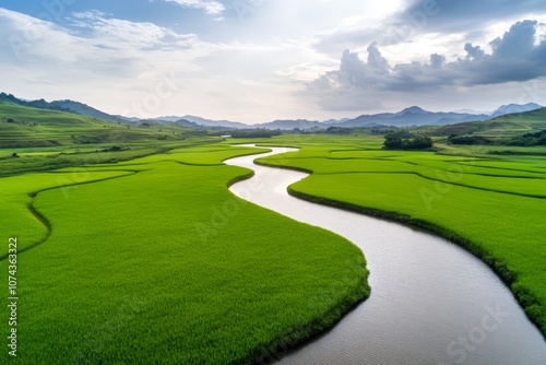 A river running through a lush green field