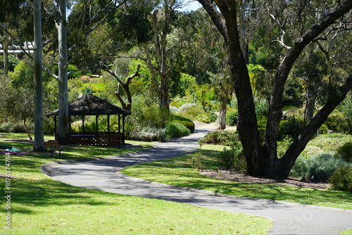 Serene Pathway Surrounded by Trees in a Park