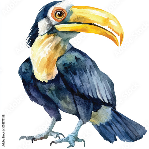 cute Hornbill watercolor clipart illustration isolated