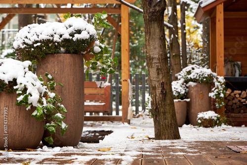 winter landscape, snow-covered vases with flowers in the garden in autumn  photo