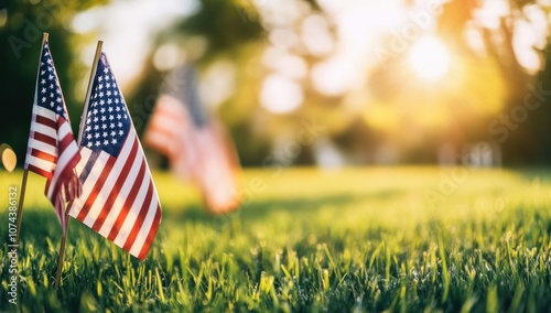 American Flags in Grass