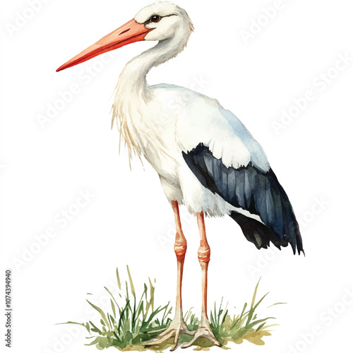 cute Stork watercolor clipart illustration isolated