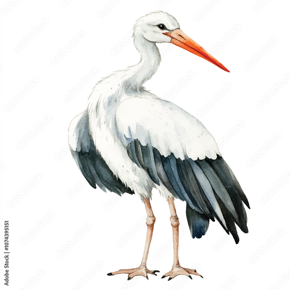 Obraz premium cute Stork watercolor clipart illustration isolated