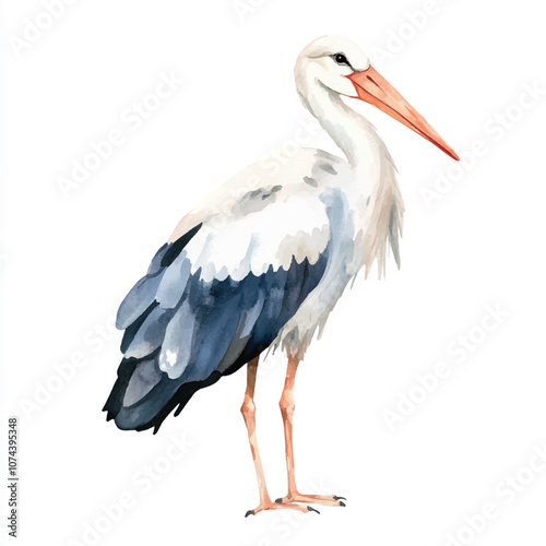 cute Stork watercolor clipart illustration isolated