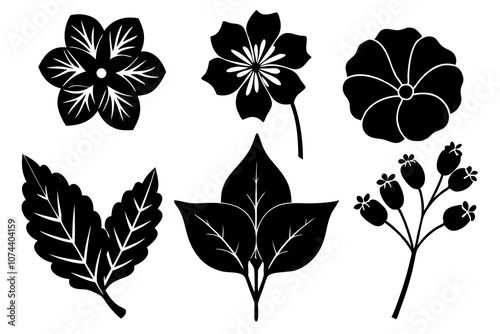 6 vector silhouette icon set of Nasturtium, Morning Glory, Verbena, Phlox, Hyacinth, Queen Anne’s Lace