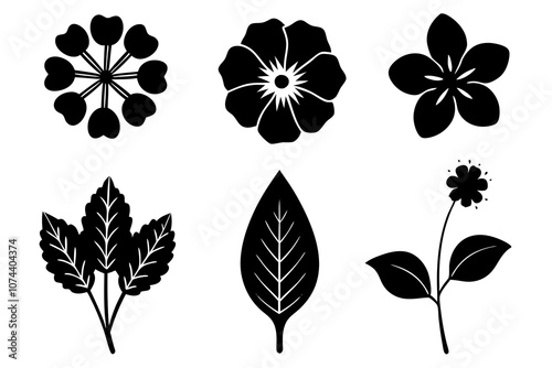 6 vector silhouette icon set of Nasturtium, Morning Glory, Verbena, Phlox, Hyacinth, Queen Anne’s Lace