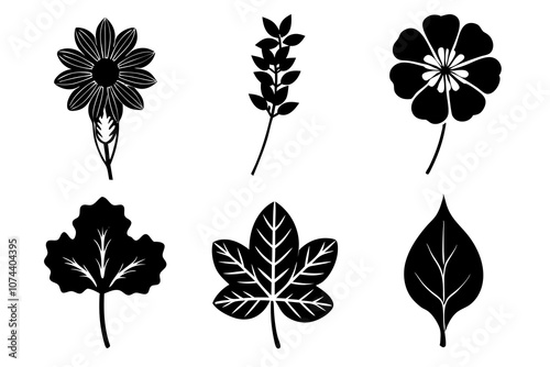 6 vector silhouette icon set of Nasturtium, Morning Glory, Verbena, Phlox, Hyacinth, Queen Anne’s Lace