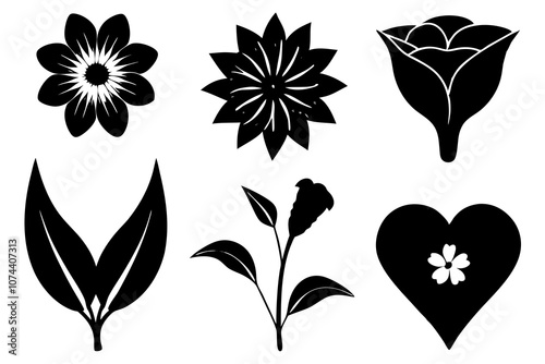 6 vector silhouette icon set of Black-eyed Susan, Calla Lily, Yarrow, Bleeding Heart, Oleander, Bellflower