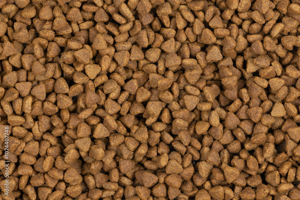 dry pet food background texture. close up. top view dry pet food background texture. close up. top view