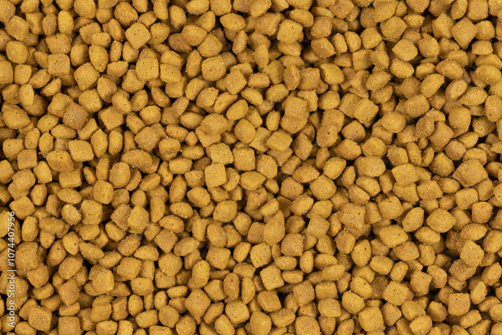 dry pet food background texture. close up. top view dry pet food background texture. close up. top view