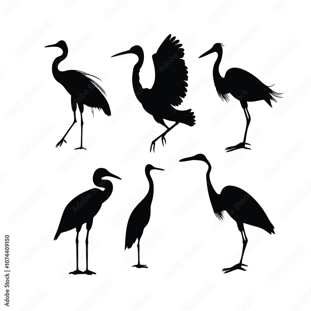 Fototapeta premium a group of bird flying and standing pose vector silhouette