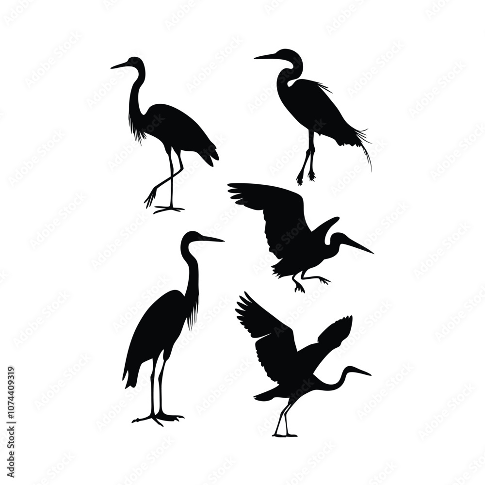 Fototapeta premium a group of bird flying and standing pose vector silhouette