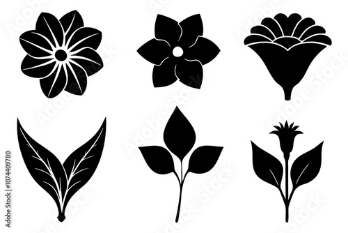 6 vector silhouette icon set of Black-eyed Susan, Calla Lily, Yarrow, Bleeding Heart, Oleander, Bellflower