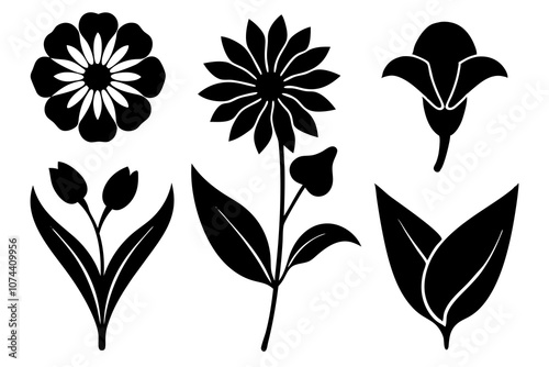 6 vector silhouette icon set of Black-eyed Susan, Calla Lily, Yarrow, Bleeding Heart, Oleander, Bellflower