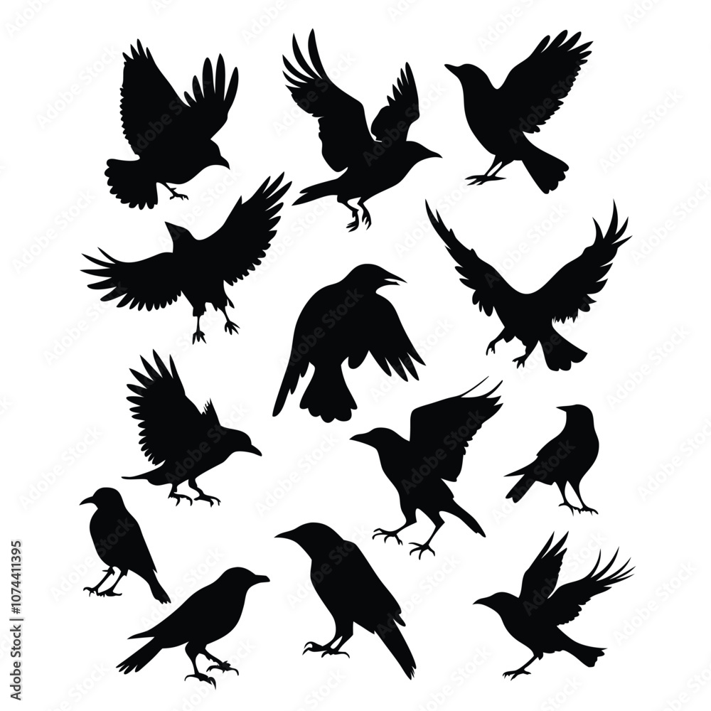 Obraz premium a set of flying bird vector silhouette isolated white background