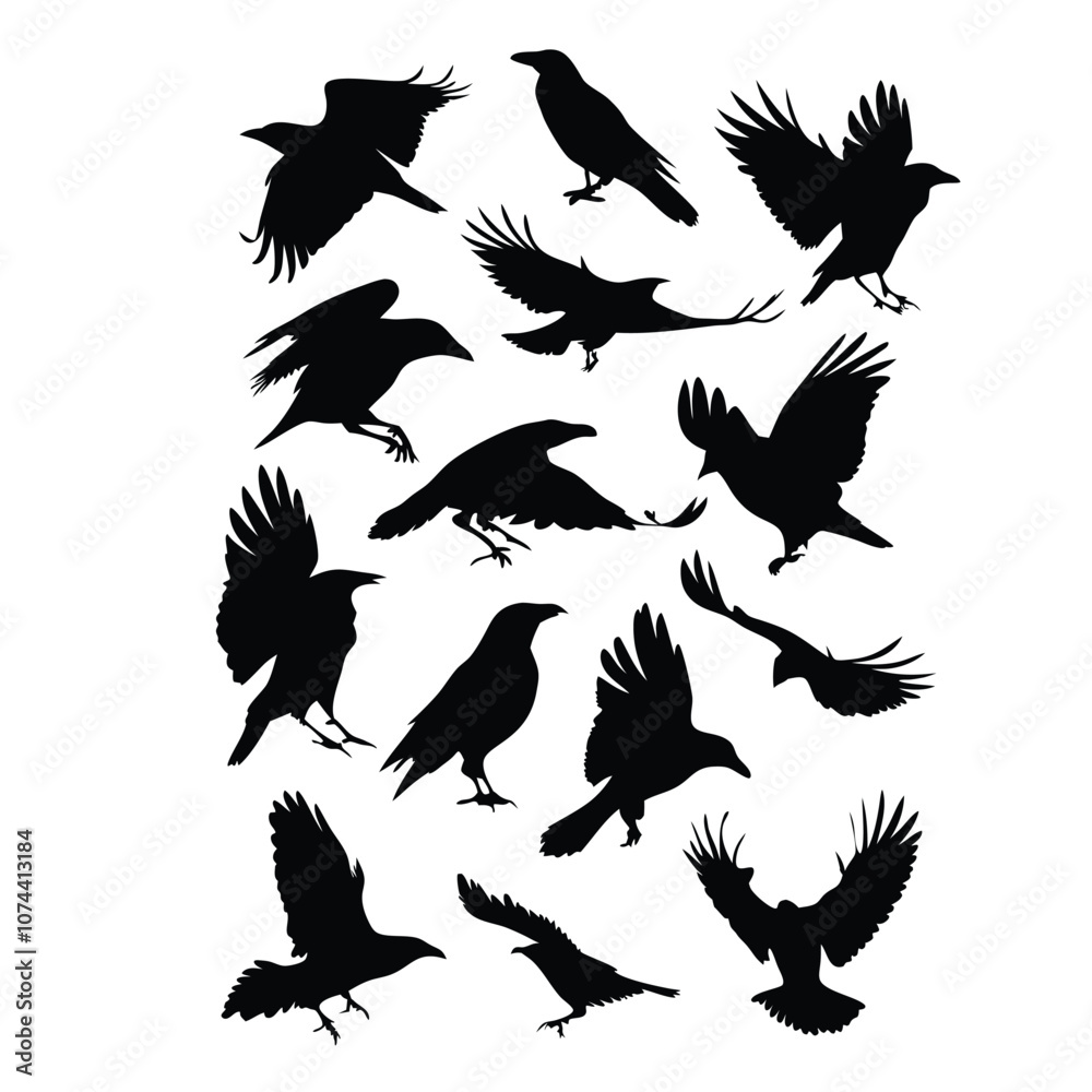 Obraz premium a set of flying bird vector silhouette isolated white background