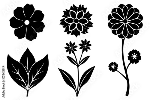 6 vector silhouette icon set of Sweet William, Candytuft, Lotus, Borage, Bachelor’s Button, Cyclamen