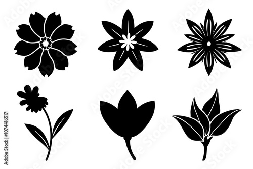 6 vector silhouette icon set of Edelweiss, Hollyhock, Tuberose, Indian Paintbrush, Forget-me-not, Calendula