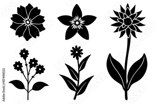 6 vector silhouette icon set of Edelweiss, Hollyhock, Tuberose, Indian Paintbrush, Forget-me-not, Calendula