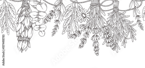 seamless border with bunches of herbs, rosemary, lavender, sage. vector illustration in sketch style.