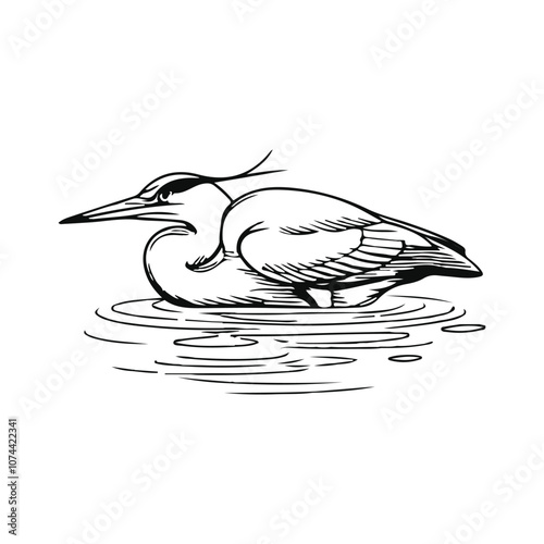 Black Heron bird silhouette hand drawing line art vector