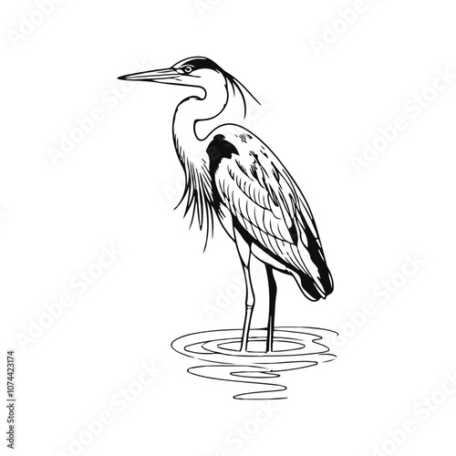 Black Heron bird silhouette hand drawing line art vector