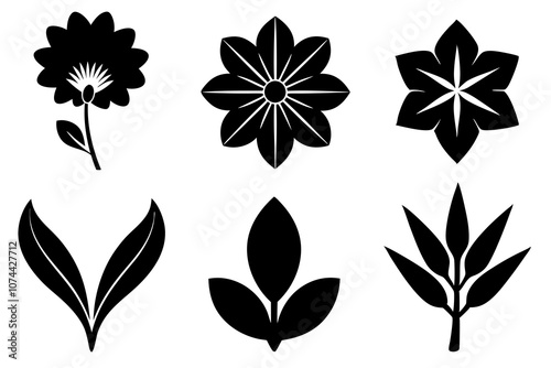 6 vector silhouette icon set of Mimosa, Saffron Crocus, Vinca, Plumeria, Gaillardia, Coreopsis