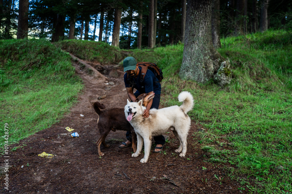 Man in nature with his dog, showing affection.
Man in nature with his dog, showing affection.