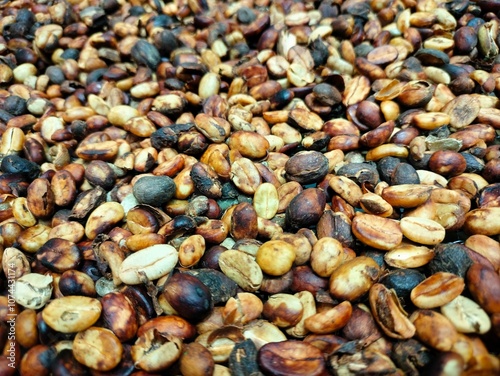 
Pile of raw, unprocessed coffee beans, showing varied colors and textures