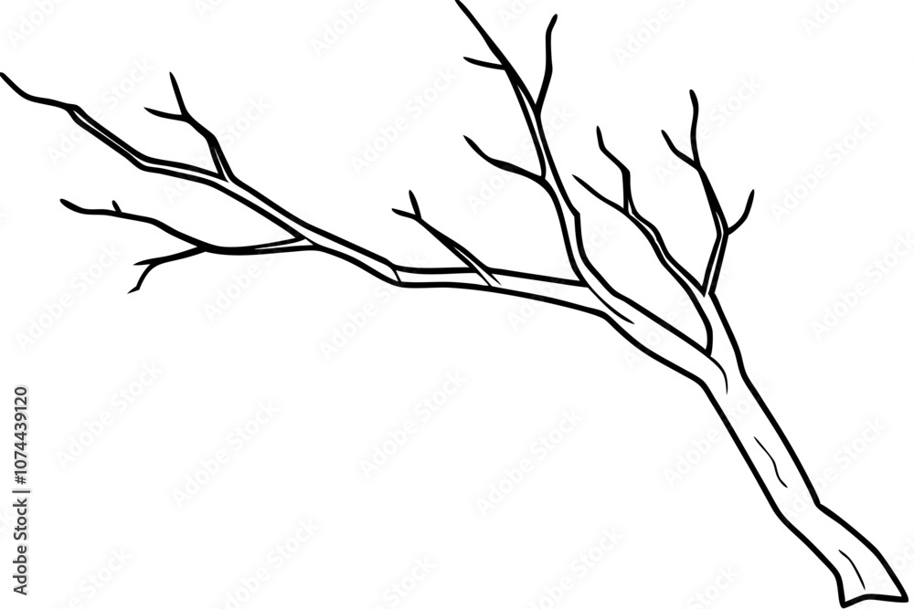 Line Art Driftwood Branch Illustration. Black and White Natural Design. Line Art Driftwood Branch Illustration. Black and White Natural Design.