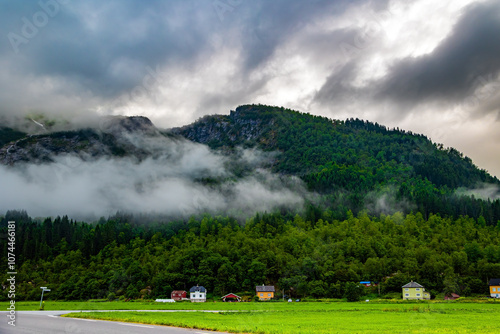 High forested mountains photo