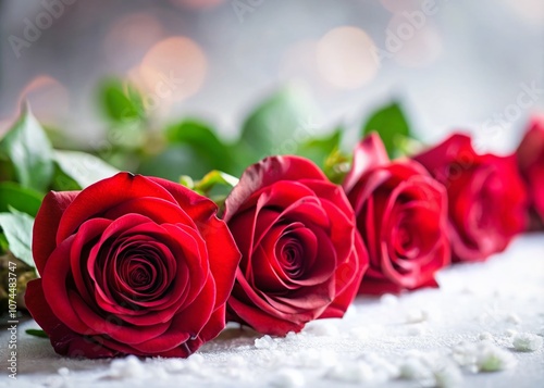 Elegant Row of Lush Red Roses on a White Background with Tilt-Shift Photography Technique Highlighting the Beauty and Detail of Each Blossom in a Soft Focus Setting