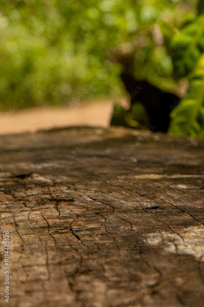 wooden bench in autumn stock image wooden bench in autumn stock image
